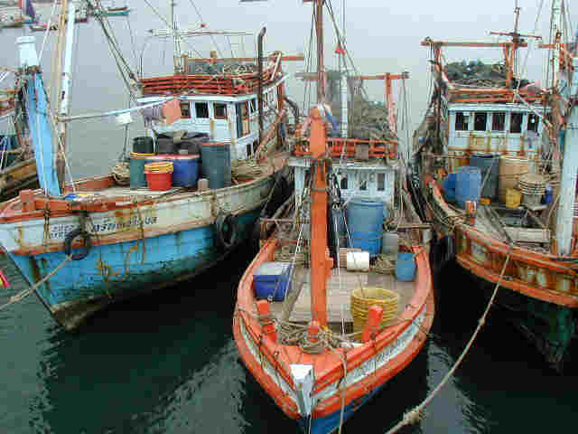 Im Fischerhafen von Hua Hin  -  The fishing harbour of Hua Hin